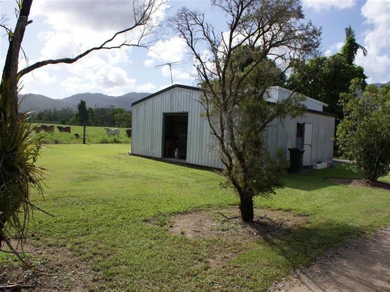 447 Bulgun Road, Tully QLD 4854
