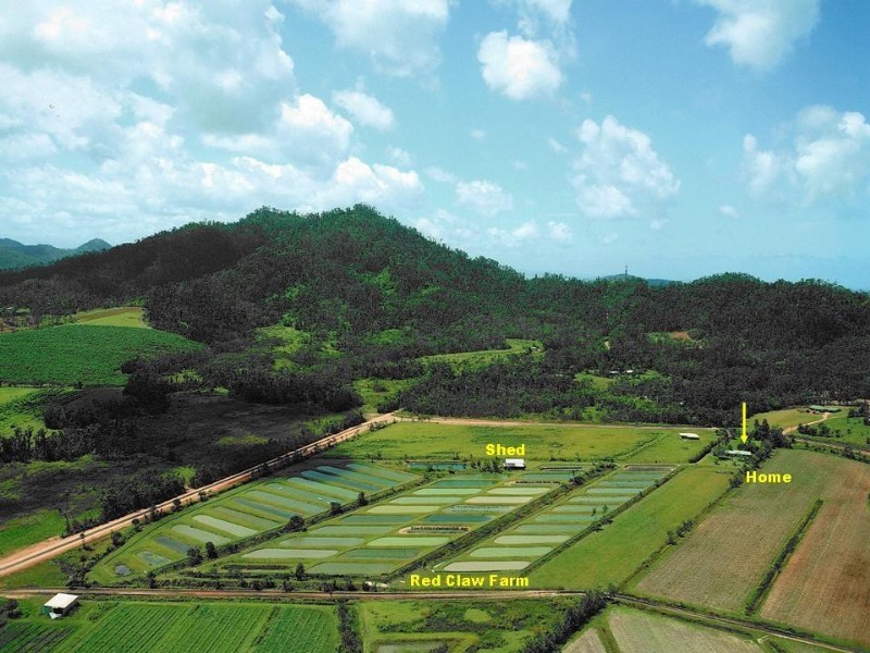 Mission Beach QLD 4852