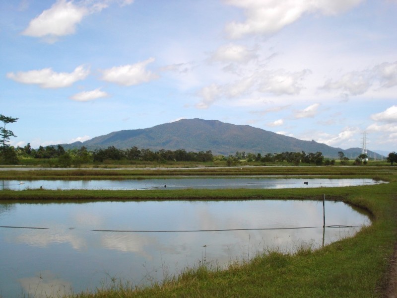 Mission Beach QLD 4852