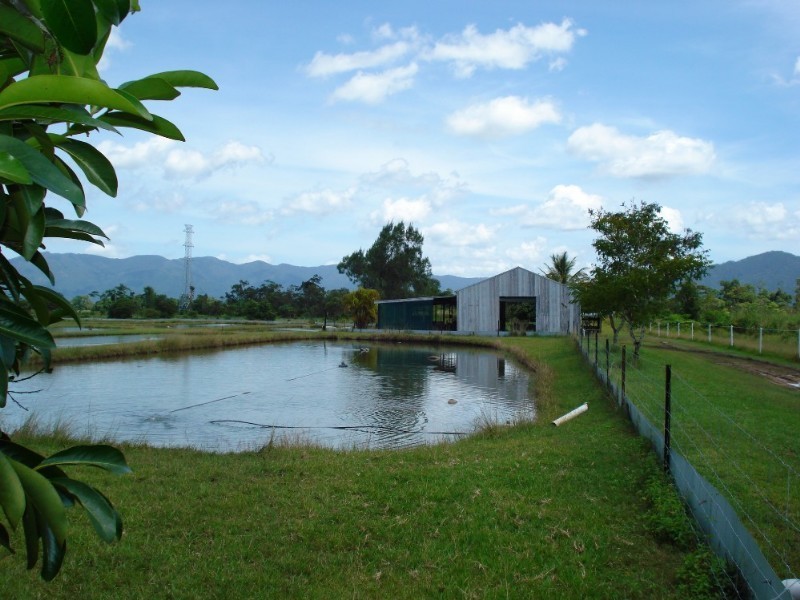 Mission Beach QLD 4852