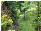 44 Mount Myrtle Road, East Feluga QLD 4854