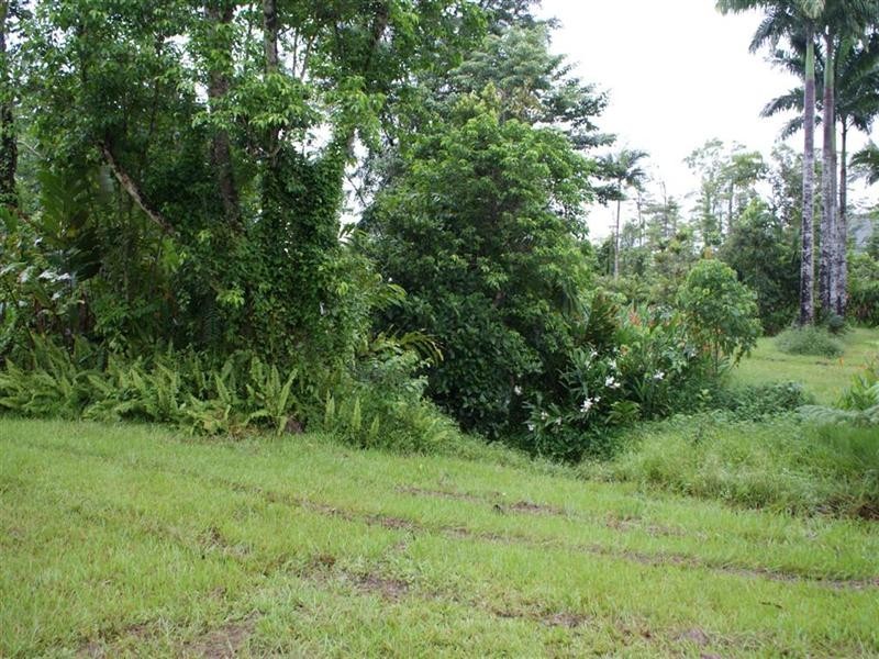 44 Mount Myrtle Road, East Feluga QLD 4854