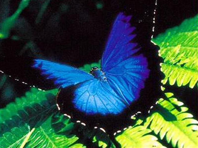 22 Koda Street, Wongaling Beach QLD 4852