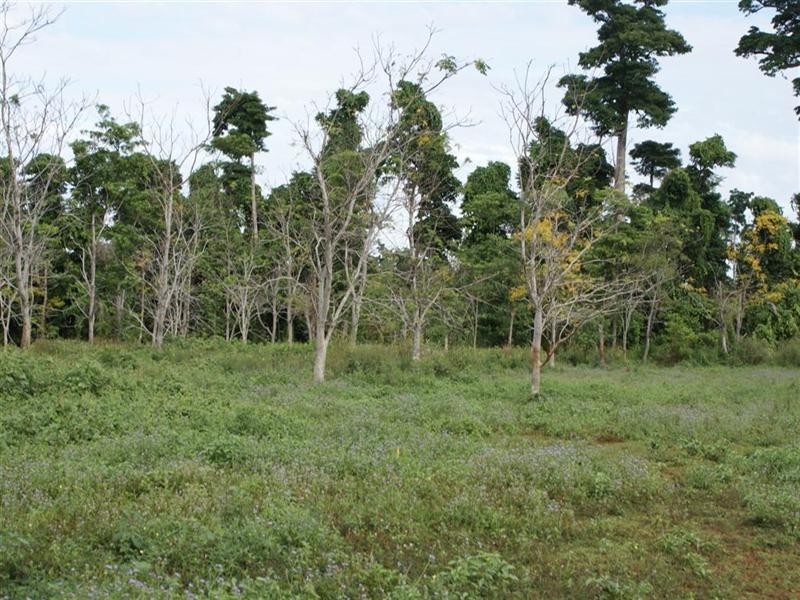 Mission Beach QLD 4852