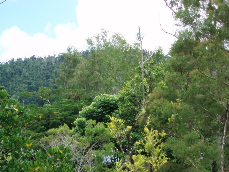 Mission Beach QLD 4852