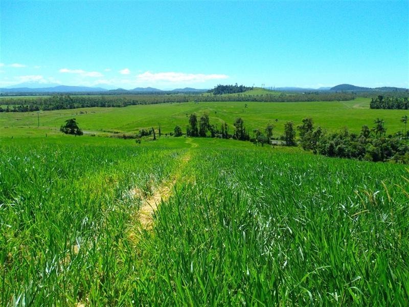 Lot 12 Bingil Bay Road, Bingil Bay QLD 4852