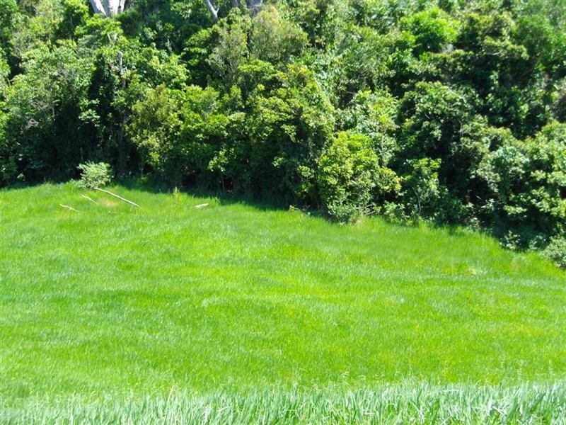 Lot 12 Bingil Bay Road, Bingil Bay QLD 4852