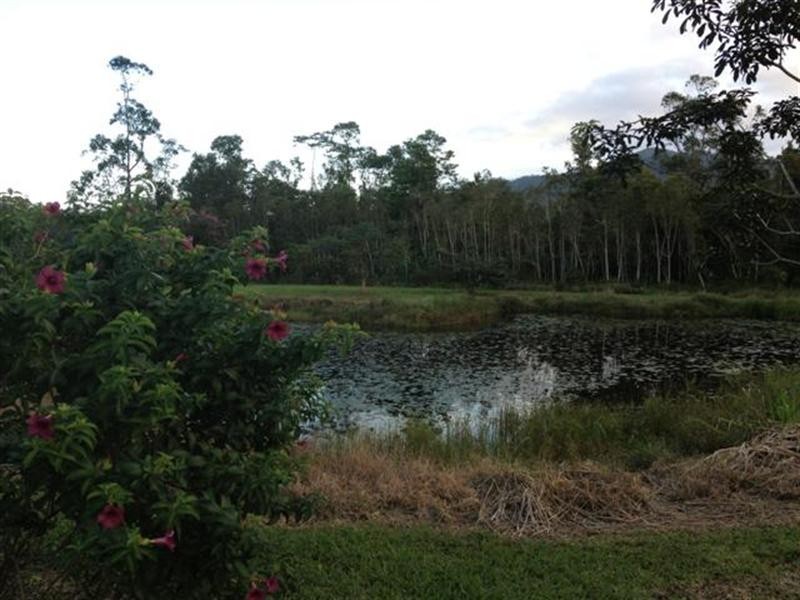 742 East Feluga Road, East Feluga QLD 4854