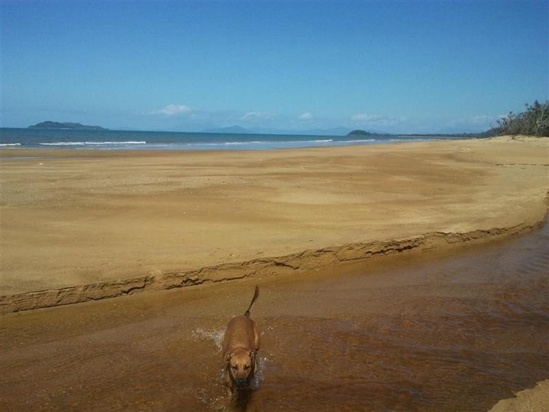 5 Bunting Street, Wongaling Beach QLD 4852