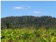 Lot 364 Mission Beach Road, Mission Beach QLD 4852