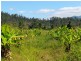 Lot 364 Mission Beach Road, Mission Beach QLD 4852