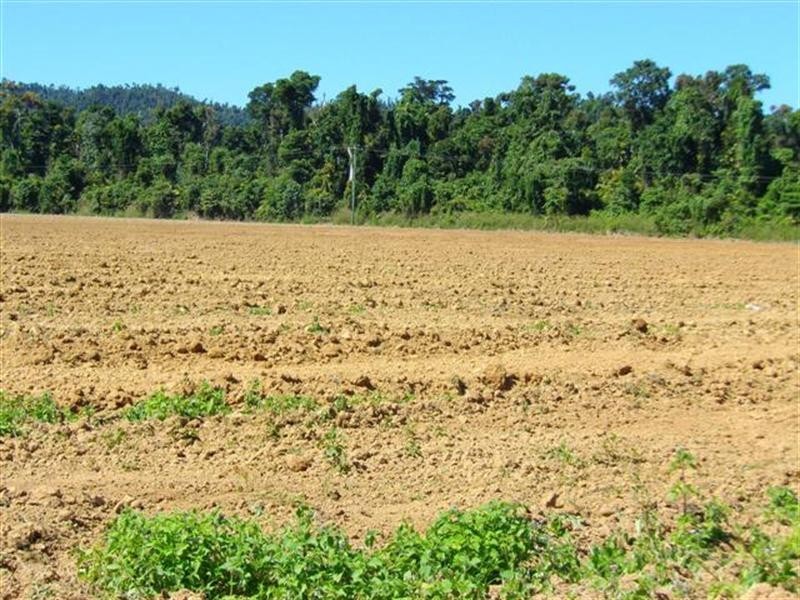 Lot 364 Mission Beach Road, Mission Beach QLD 4852