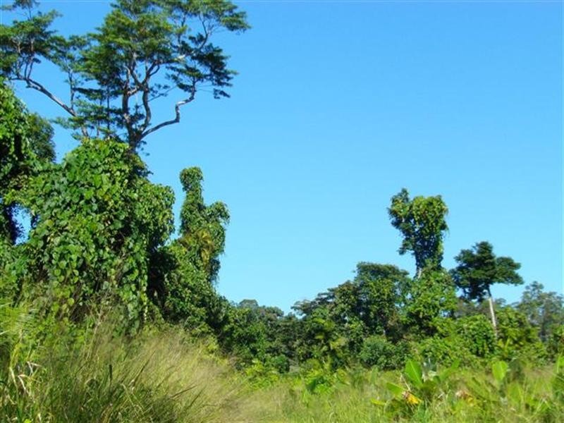 Lot 364 Mission Beach Road, Mission Beach QLD 4852