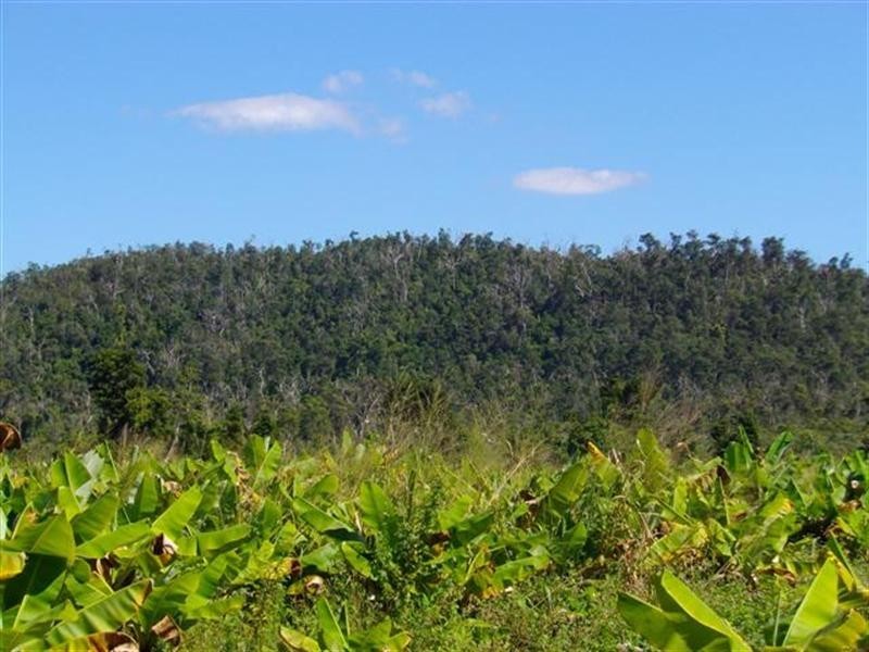 Lot 364 Mission Beach Road, Mission Beach QLD 4852
