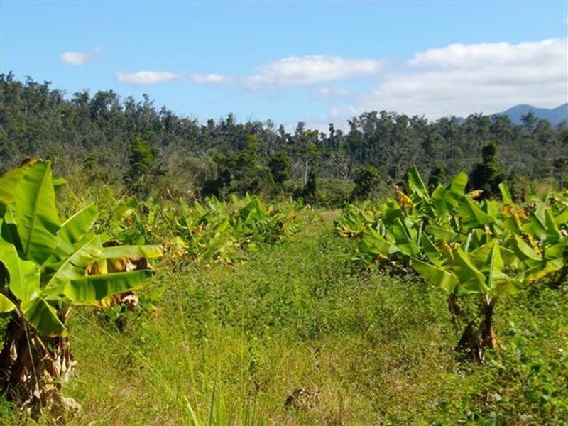 Lot 364 Mission Beach Road, Mission Beach QLD 4852