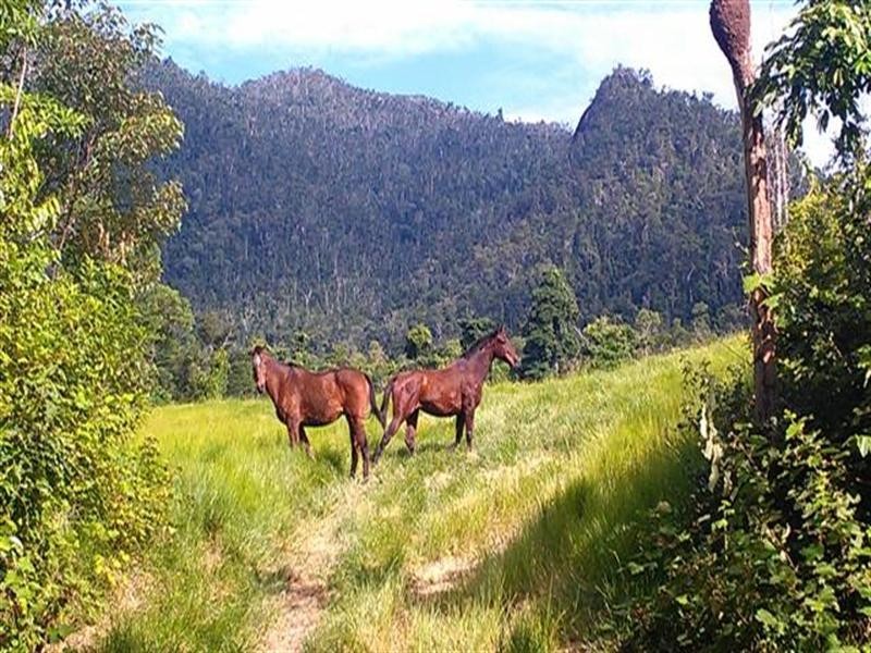 Lot 31 Tully/Mission Beach Road, Mission Beach QLD 4852