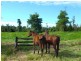 Lot 31 Tully/Mission Beach Road, Mission Beach QLD 4852