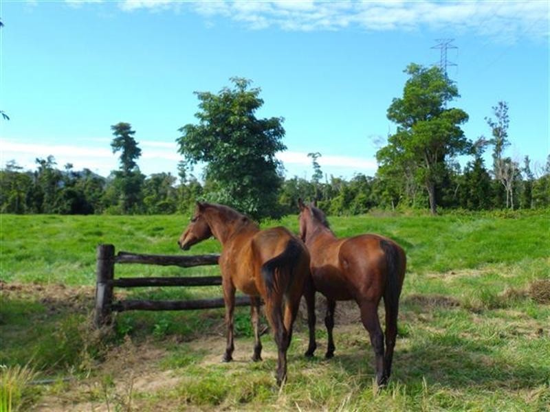 Lot 31 Tully/Mission Beach Road, Mission Beach QLD 4852