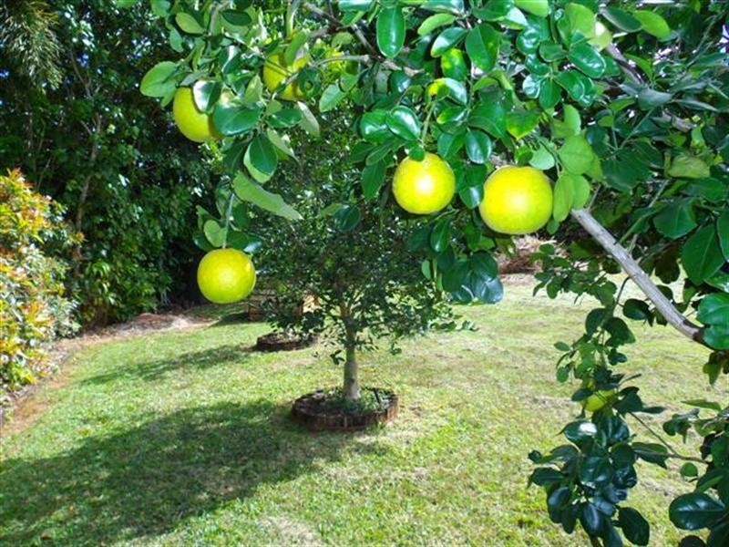 4 Lindquist Close, Mission Beach QLD 4852