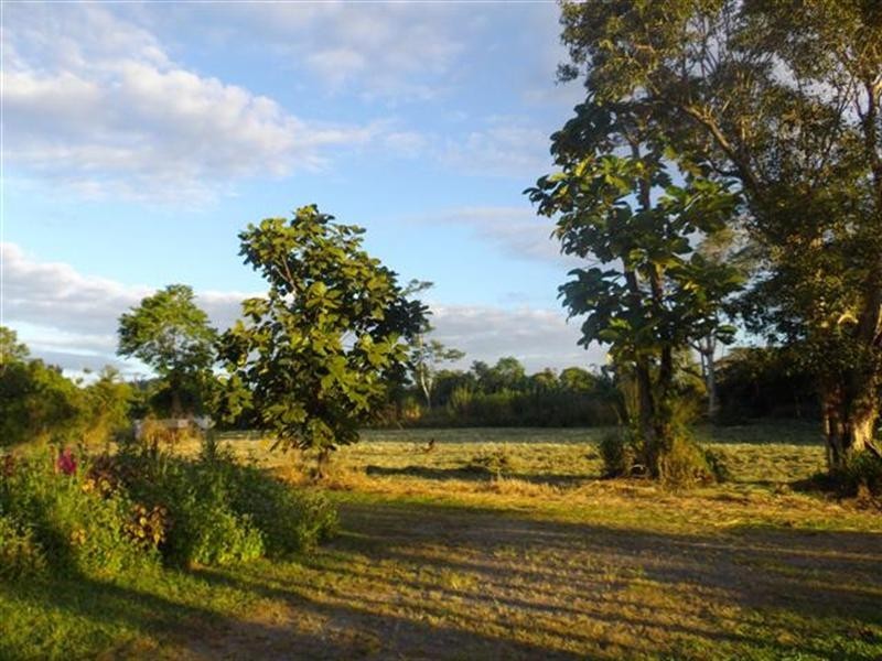 Lot 230 Mission Beach Road, Mission Beach QLD 4852