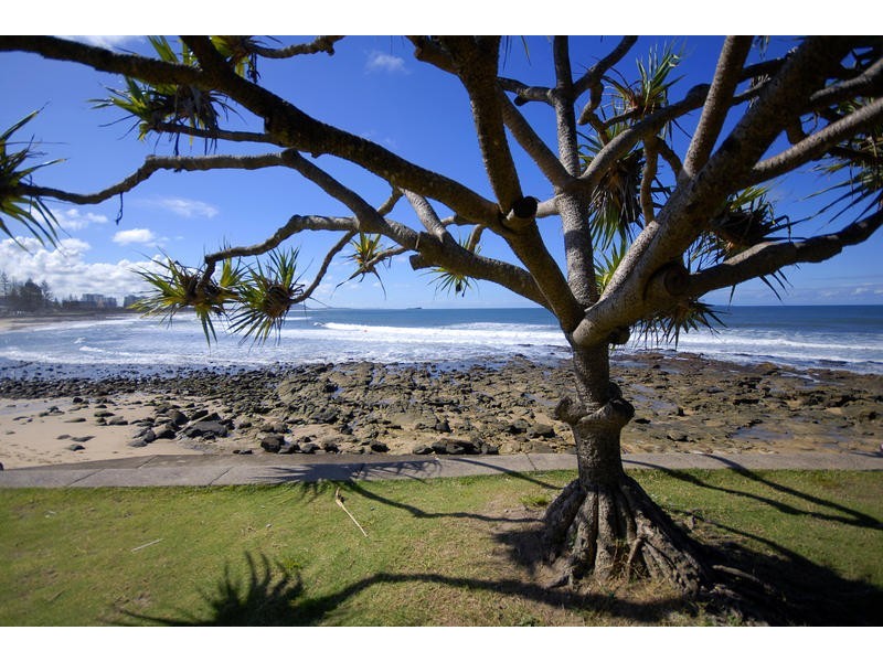 11/21 Boolarong Court, Alexandra Headland QLD 4572