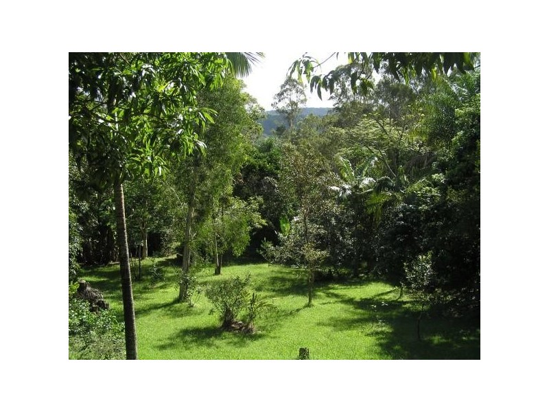 199 Neill Road, Mooloolah Valley QLD 4553