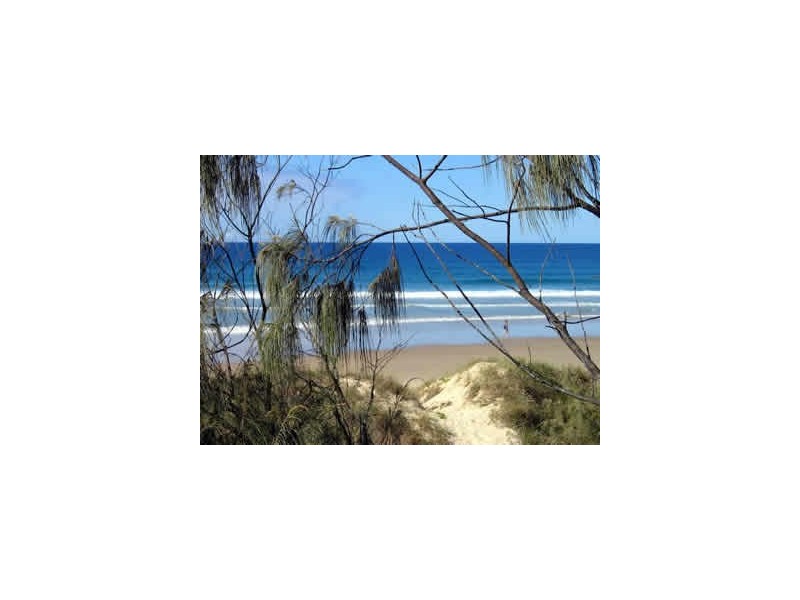 115 The Avenue, Peregian Beach QLD 4573