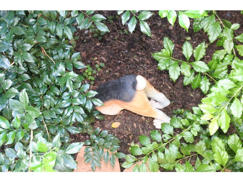 2 Grand Parade, Parrearra QLD 4575