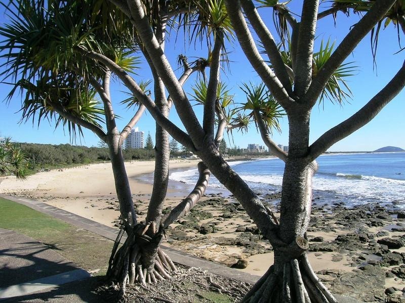 56 George Street, Alexandra Headland QLD 4572