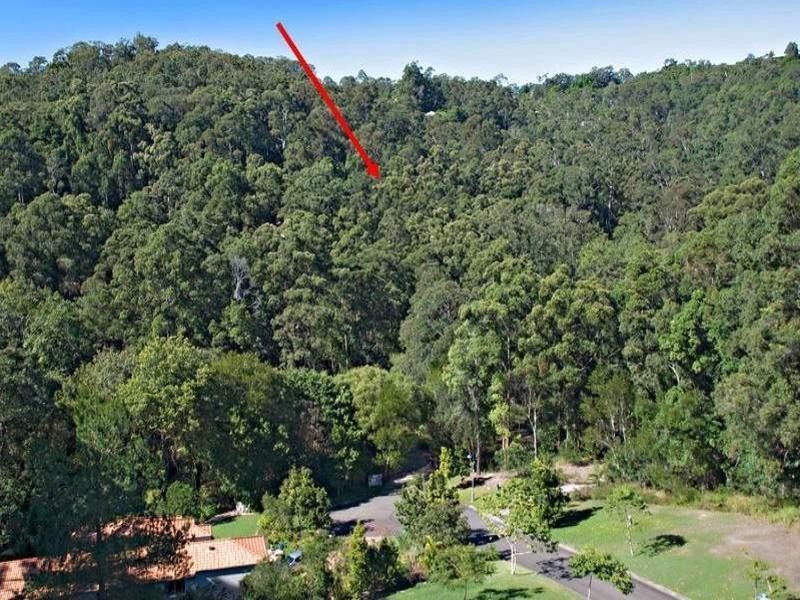 46 Toulambi Drive, Buderim QLD 4556