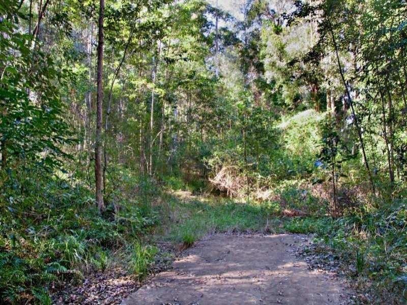 46 Toulambi Drive, Buderim QLD 4556