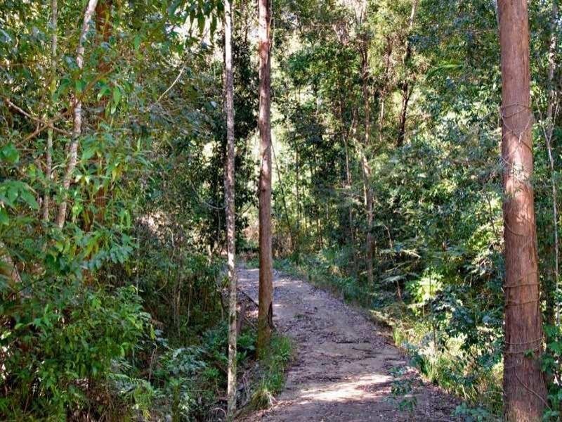 46 Toulambi Drive, Buderim QLD 4556