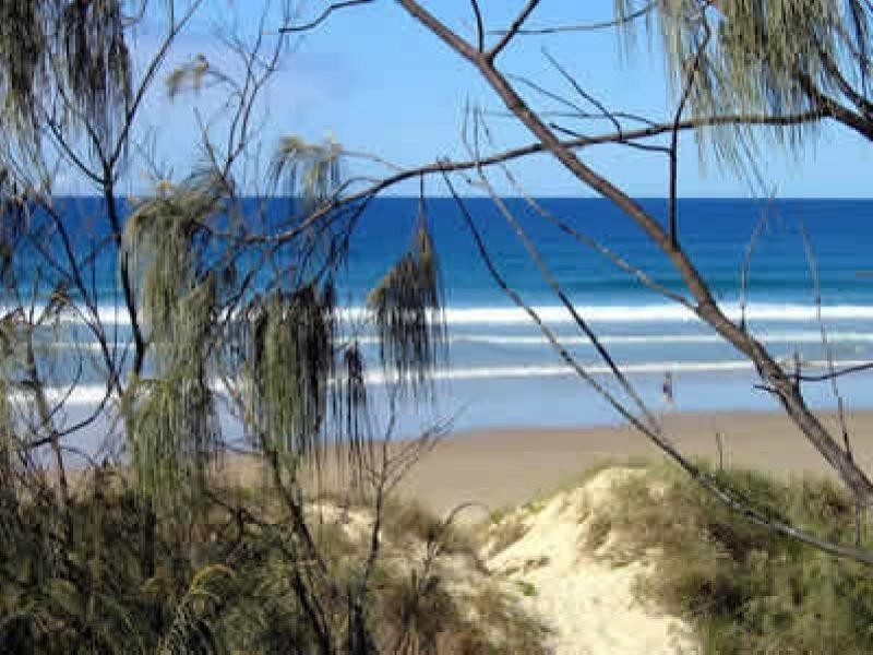 115 The Avenue, Peregian Springs QLD 4573