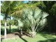 62 Nojoor Road, Mudjimba QLD 4564