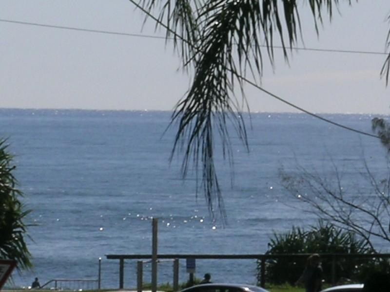 4/51 Edward Street, Alexandra Headland QLD 4572