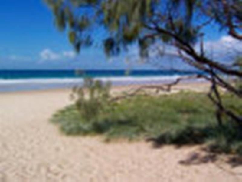 175 Oceanic Drive, Warana QLD 4575