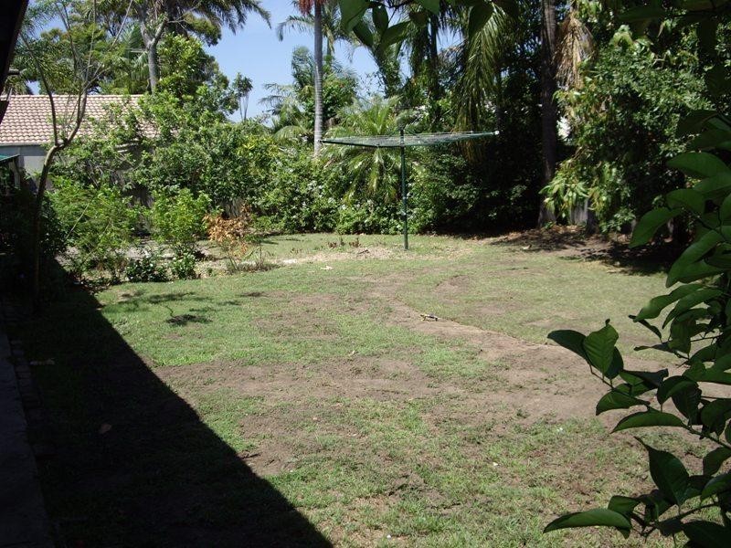 56 Piringa Street, Wurtulla QLD 4575