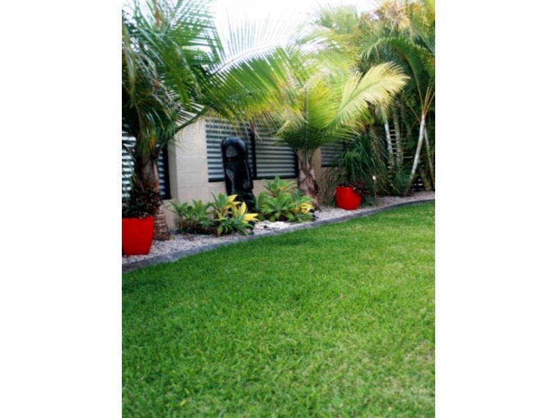 29 Palm Drive, Mooloolaba QLD 4557