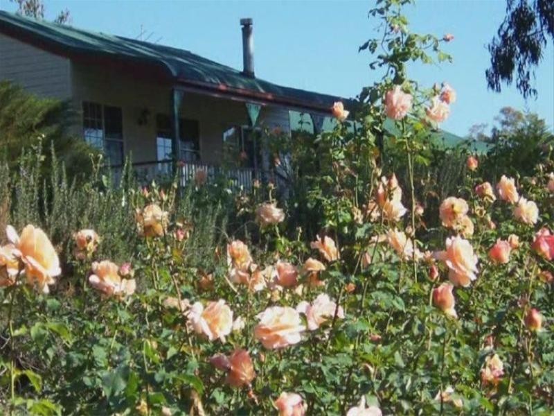 90 Nicholson Road, Stanthorpe QLD 4380