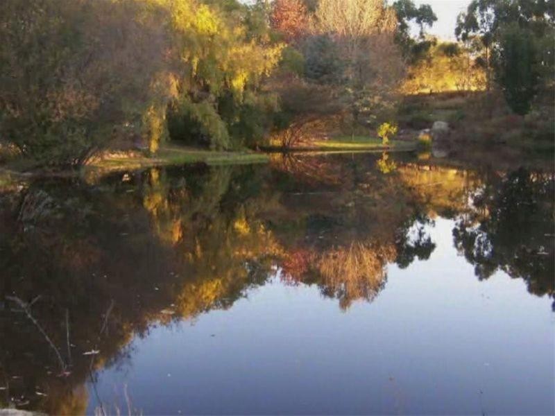 90 Nicholson Road, Stanthorpe QLD 4380