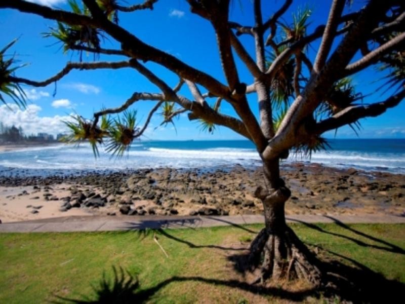 2/11 Alice Street, Alexandra Headland QLD 4572