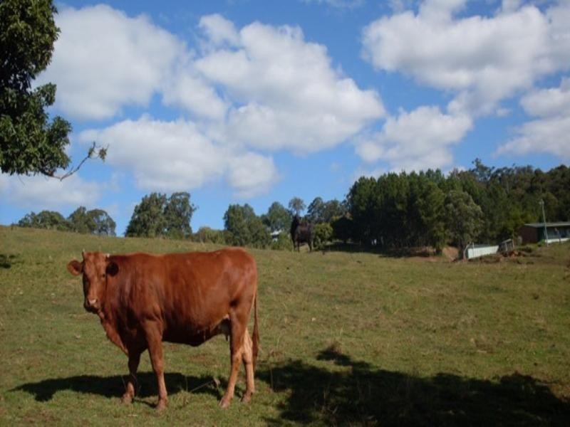 435 – 451 Blackall Range Road, West Woombye QLD 4559