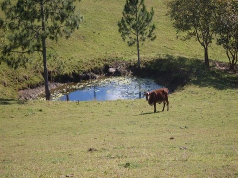 435 – 451 Blackall Range Road, West Woombye QLD 4559