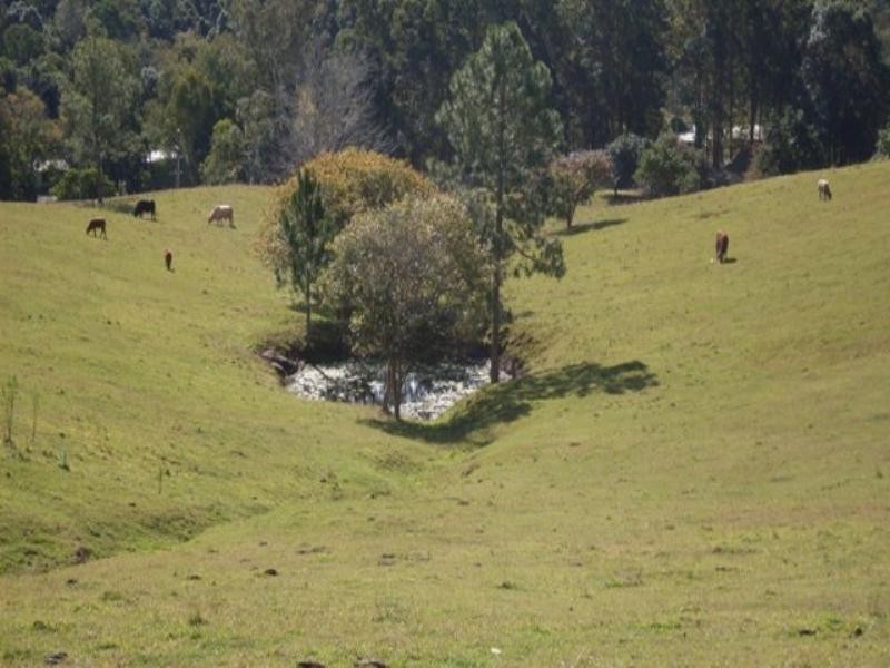 435 – 451 Blackall Range Road, West Woombye QLD 4559