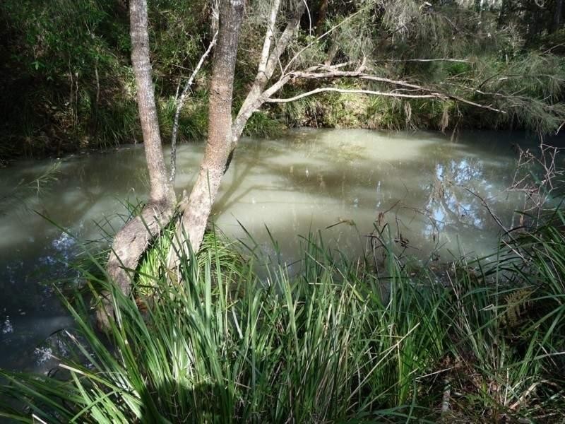 60-77 Oakey Creek Road, Gheerulla QLD 4574