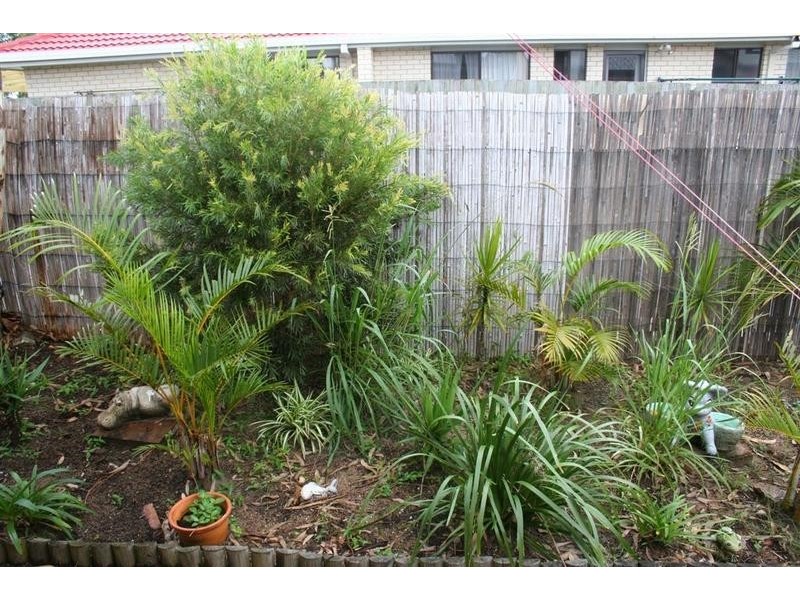 87 Bundilla Boulevard, Mountain Creek QLD 4557