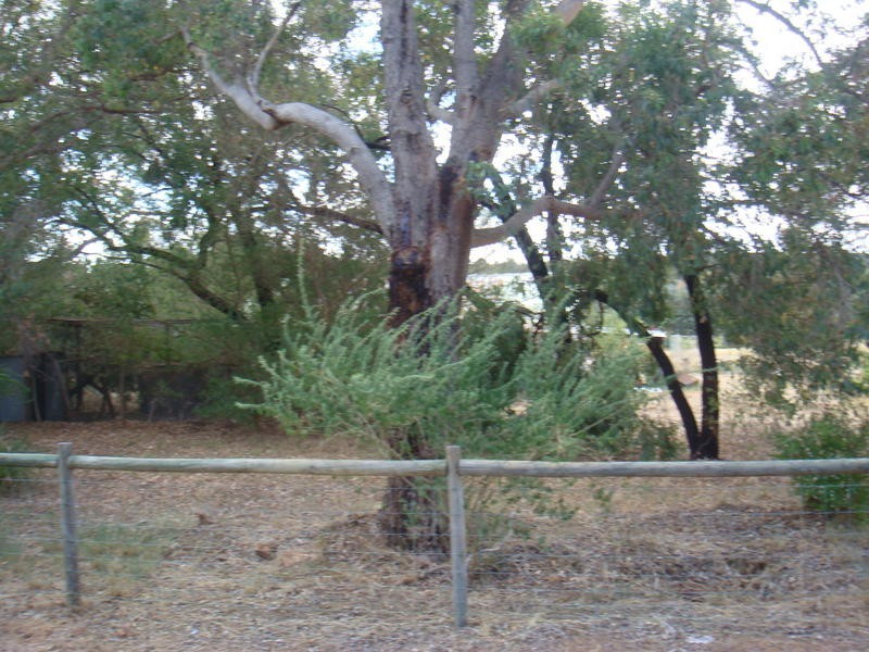 Lot 12 Cnr Pomeroy Road & Sing Gardens, Walliston WA 6076