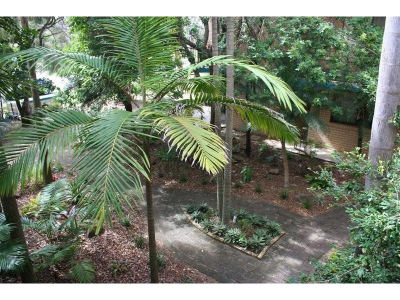 4 Minya Street, Buddina QLD 4575