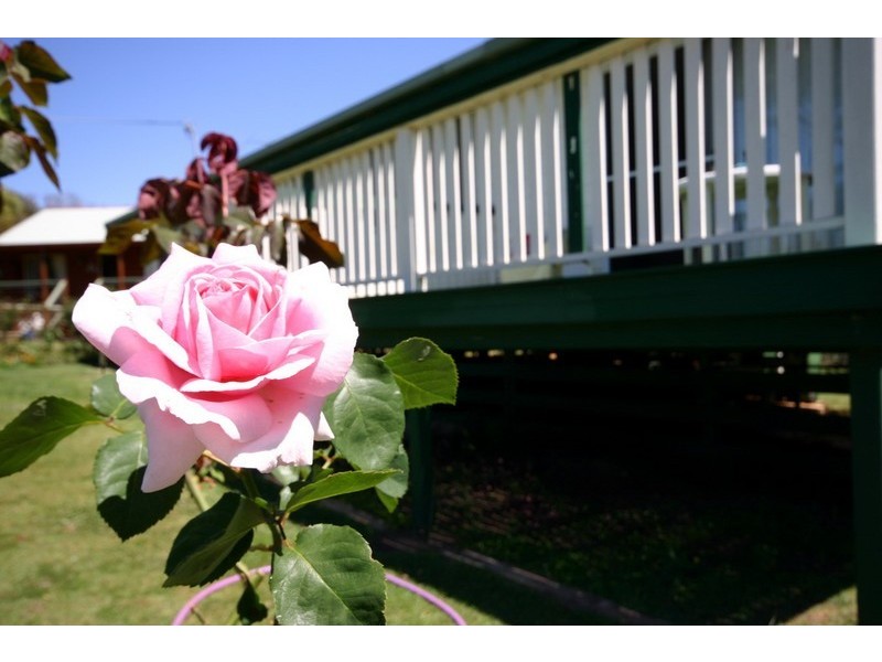 8 Wren Court, Macleay Island QLD 4184