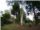 19-21 Barramundi Street, Macleay Island QLD 4184